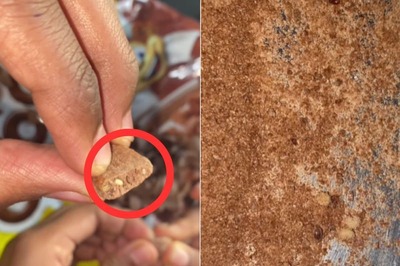 Instagrammer Finds 'Worms' Inside Kellogg's Chocos, Says Product Wasn't Expired in Viral Video