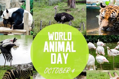 World Animal Day 2024: Theme, History, Significance, Quotes, and Interesting Facts