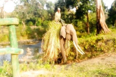 In a First, Manas National Park in Assam Introduces Cycle Safaris for Tourists