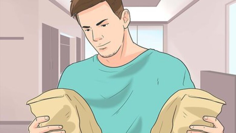 How to Care for German Shorthaired Pointers
