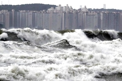 Woman Swept Away by Storm, Six Killed After Typhoon Mitag Lashes South Korea With Heavy Rain