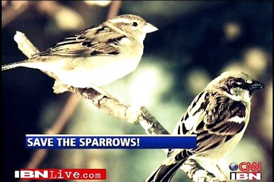 House sparrow declared Delhi's state bird