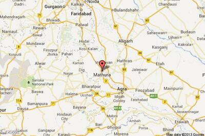 Gopalgarh: 10 cows die of food poisoning at ashram