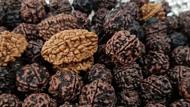 Rudraksha Exhibition In Telangana's Warangal; Check Venue And Dates